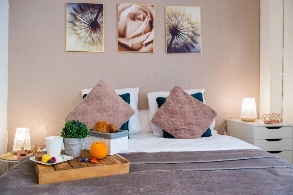 Studio Le Camaieu Tout Confort, Metz Gare Apartment Luaran gambar